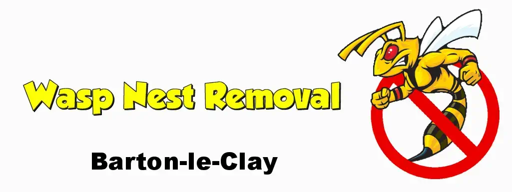 wasp nest removal barton-le-clay