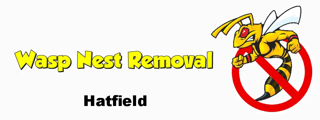 Wasp Nest Removal Hatfield AL9 AL10