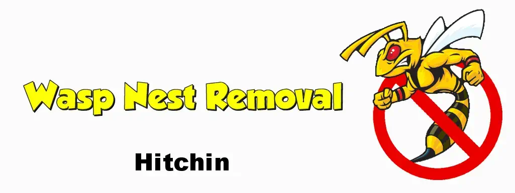 wasp nest removal hitchin