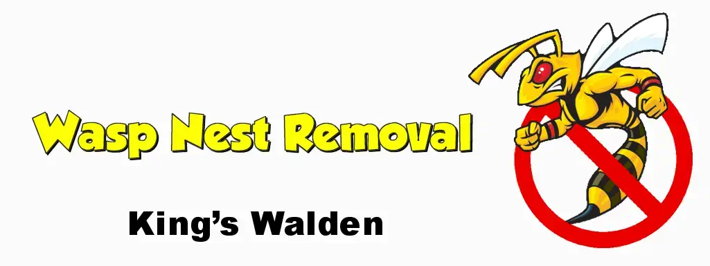 Wasp Nest Removal King’s Walden SG4