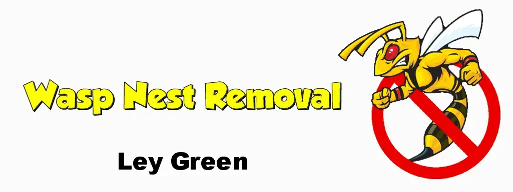 wasp nest removal ley green