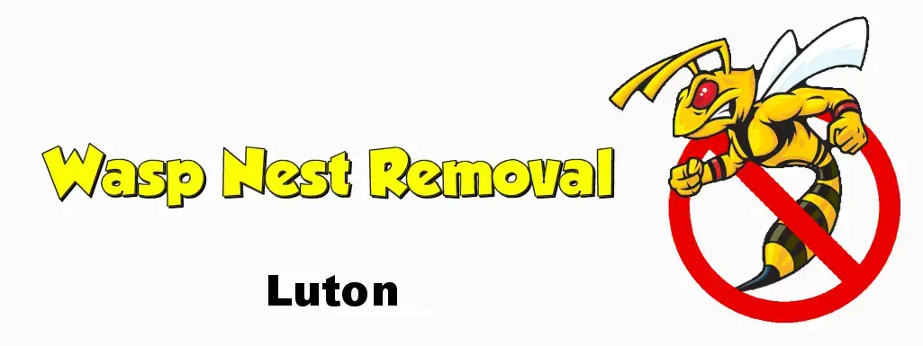 Wasp Nest Removal Luton LU1 LU2 LU3 LU4