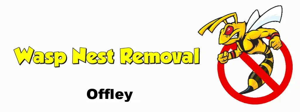 wasp nest removal offley